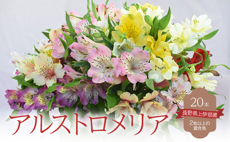 アルストロメリア花束