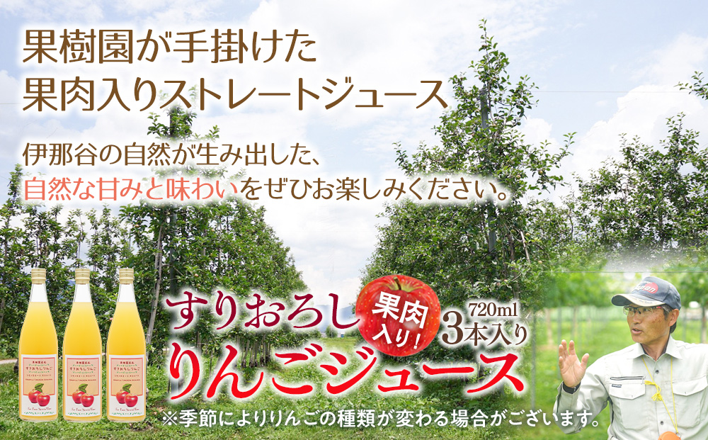 果肉入り！すりおろしりんごジュース 3本入り リンゴジュース りんご リンゴ 林檎 長野 フルーツ 果物 信州産 長野県産 特産 産地直送 おすすめ 