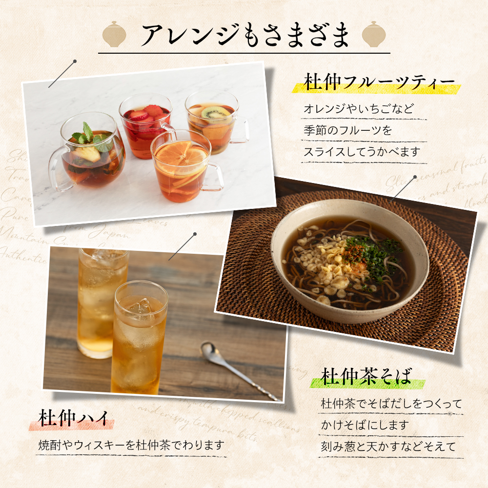 ノンカフェイン　信州伊那谷の手摘み杜仲茶〔ペットボトル 500ml×24本入〕自然豊かな胎内高原の天然水で低温抽出 化学合成農薬不使用 飲料 ドリンク 飲み物 清涼飲料水 信州 長野 長野県 