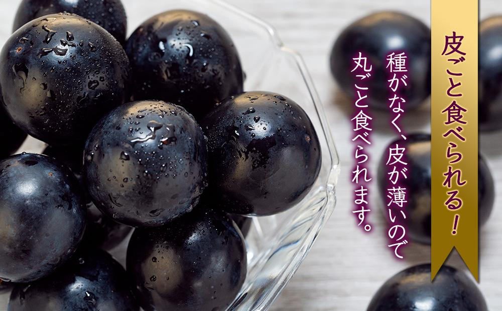 ぶどう ナガノパープル 2kg 3～5房 フルーツ 果物 旬の果物 旬のフルーツ 種なし 葡萄