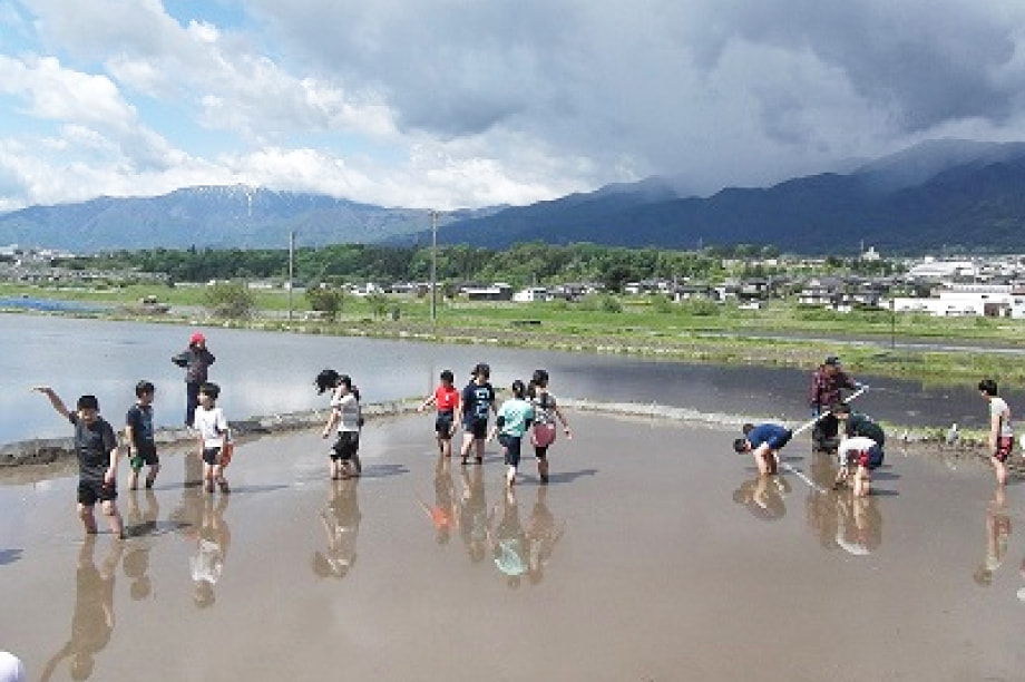 学力、体力向上及び郷土愛の醸成