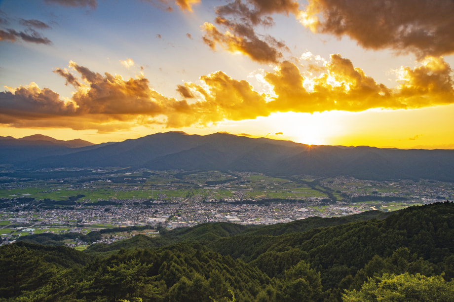 自治体におまかせ