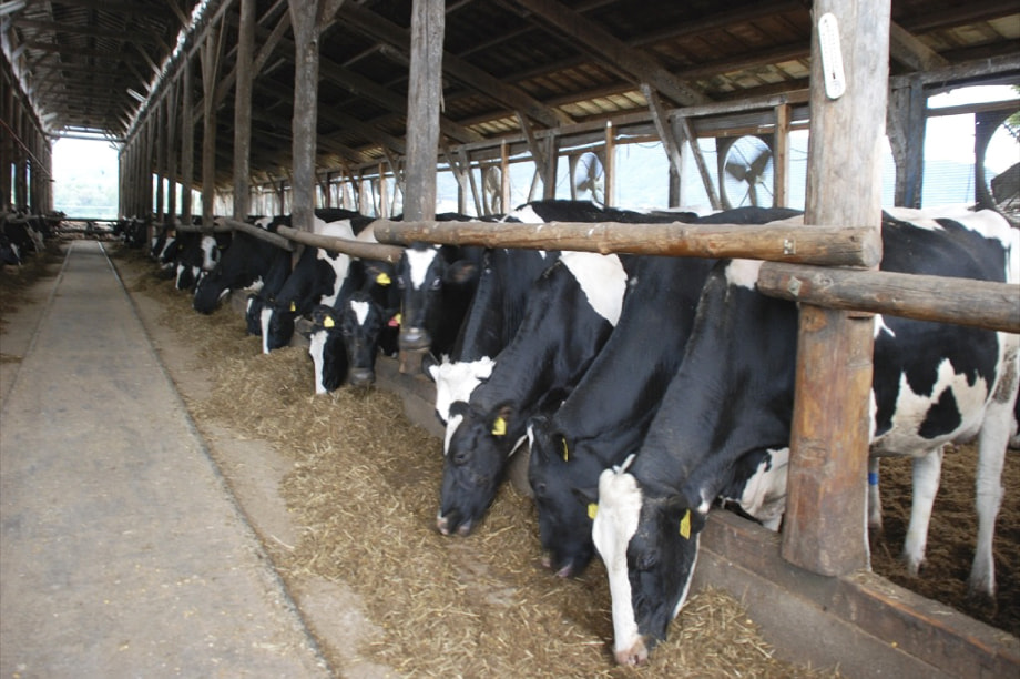 長野県有数の酪農地帯「酪農の町みのわ」の振興