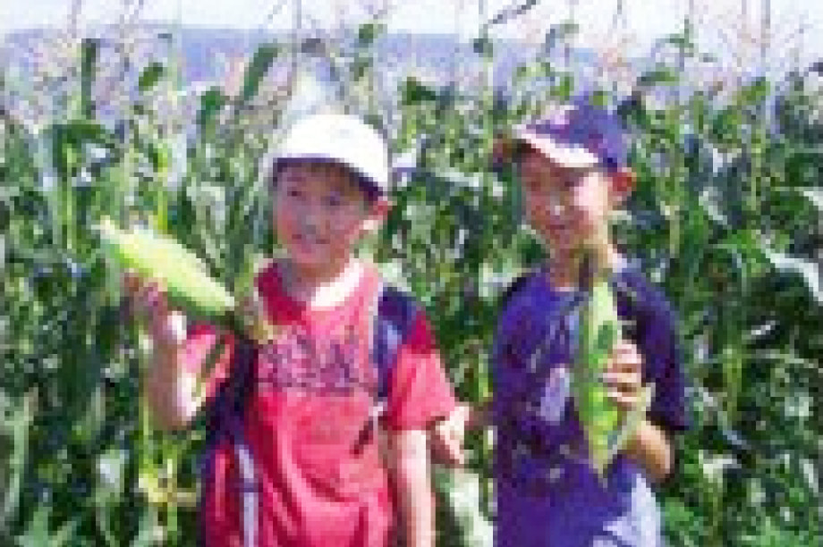 農林業、商工業及び観光の振興