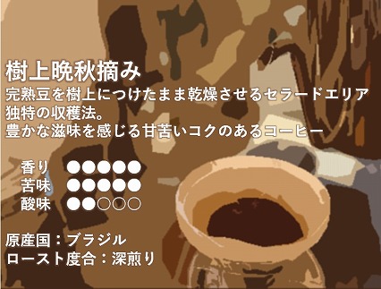 カフェセラード　焙煎珈琲豆詰合せ（２種類）【中挽き】