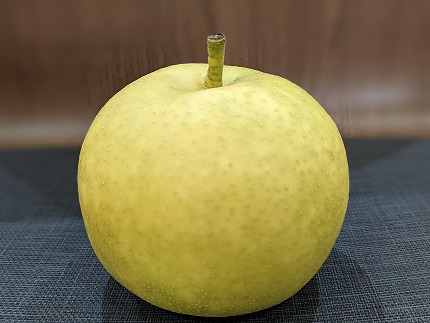 農家直送】みなみ農園のなし（二十世紀）約３Kg±