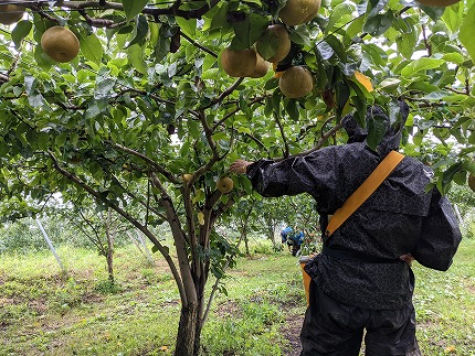 霎イ螳カ逶エ騾√第」ョ雜願セイ蝨偵ョ縺ェ縺暦シ亥ケク豌エシ臥エシ必g