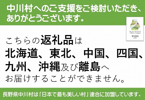 【農園直送】みなみ農園の市田柿　200g×２袋【１月発送】
