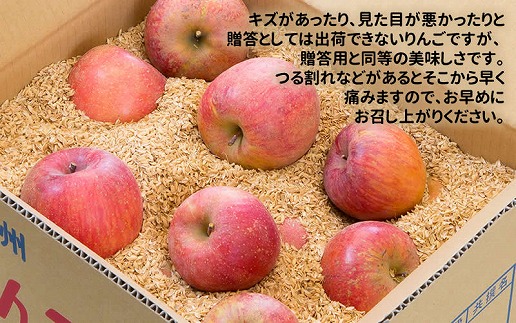 農家直送】富永農園のご家庭用りんご【サンふじ】約１０㎏（自家用）
