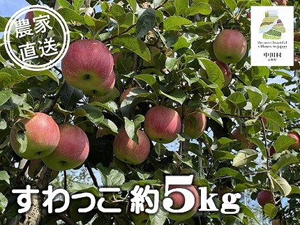 中平りんご園のりんご（すわっこ約５Kg）