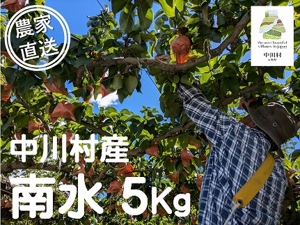 【農家直送】みなみ農園のなし（南水）約５Kg