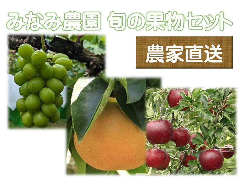 【農家直送】みなみ農園おすすめ　旬の果物セット【シャインマスカット・南水梨・秋映りんご】