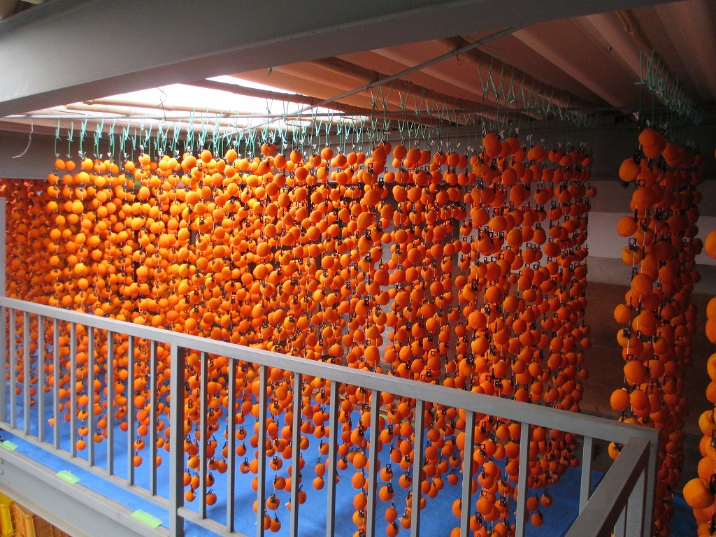 【農園直送】フルーツガーデン松村の市田柿　約500g×2袋