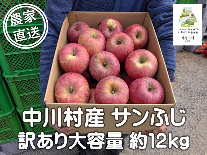 担当者おすすめ「味覚の里なかがわ」の採れたてくだもの（サンふじ約12Kg りんご訳あり 不揃い バラ詰め 大容量10kg以上）