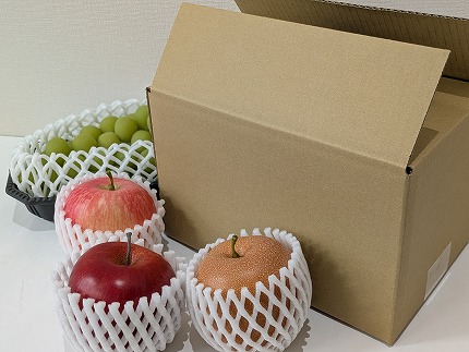 【定期便】担当者おすすめ「味覚の里なかがわ」の旬のフルーツ定期便　５回