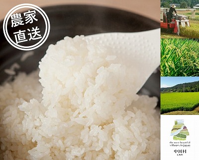 信州産コシヒカリ「桃つや米」５㎏