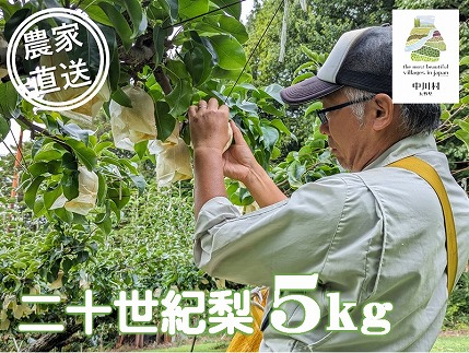 農家直送】桃沢農園のなし（二十世紀）　約５Kg±