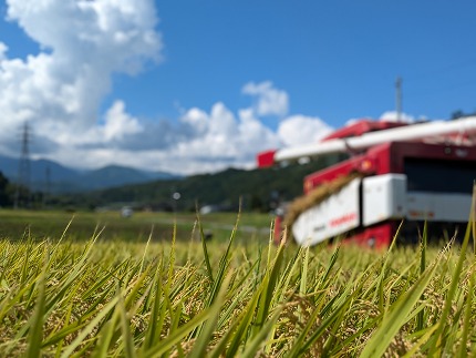 信州産コシヒカリ「桃つや米」５㎏