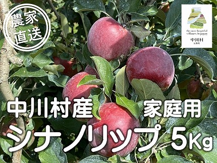 担当者おすすめ「味覚の里なかがわ」の旬のくだもの（シナノリップ自家用５Kg箱）８月中旬発送予定