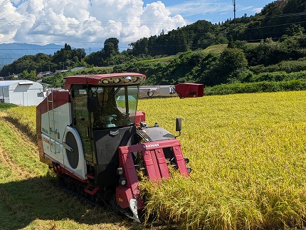 信州産コシヒカリ「桃つや米」５㎏