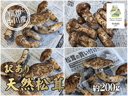 中川村の秋の味覚　松茸（訳あり）　約200g