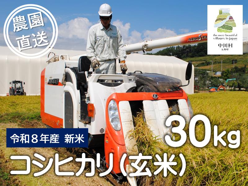 信州産コシヒカリ「富永農園の玄米」30㎏【R８年度産新米】