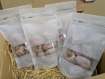 【農園直送】みなみ農園の市田柿　200g×４袋【１月発送】