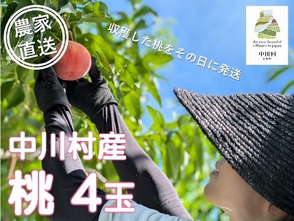 【農家直送】中川村の桃（あかつき）４玉