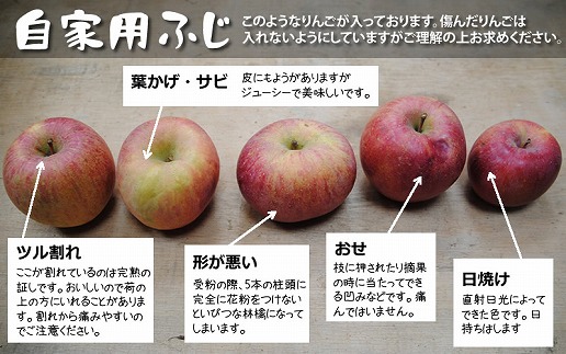 農家直送】富永農園のご家庭用りんご【サンふじ】約１０㎏（自家用）