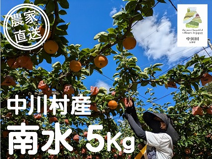 農家直送】桃沢農園のなし（南水）約５Kg