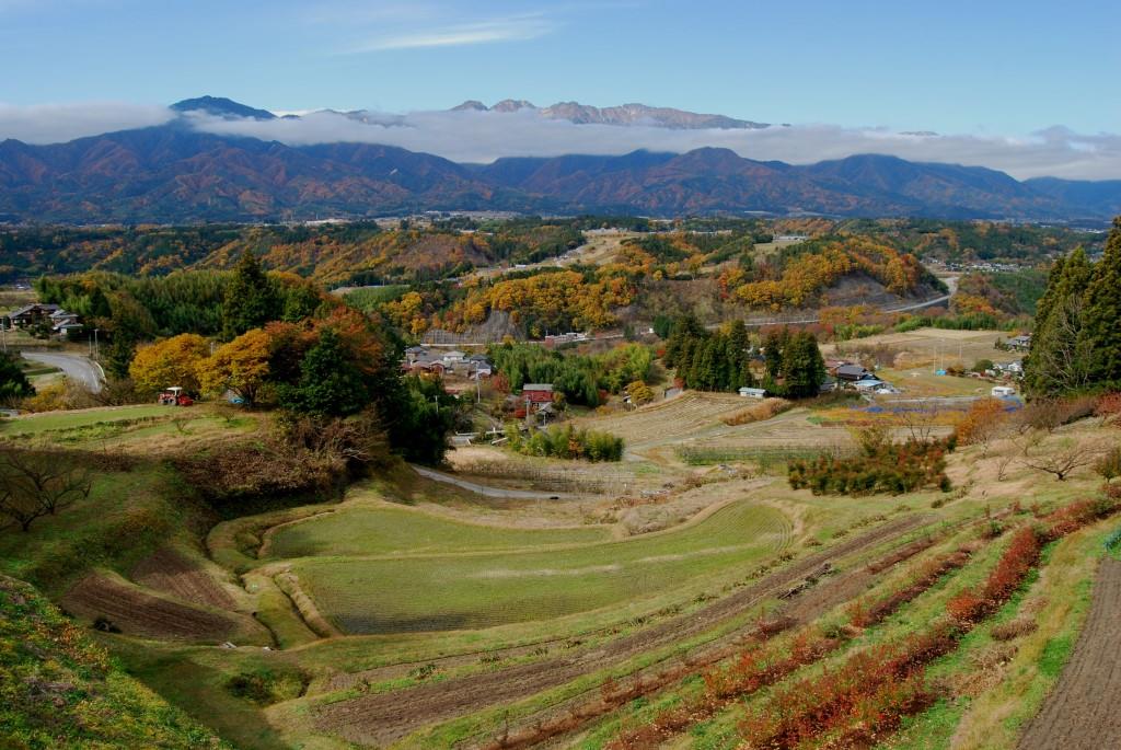 中川村への寄附（返礼品はありません）5000円