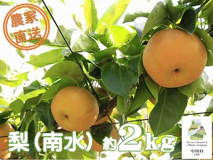 農家直送】桃沢農園のなし（南水）約２Kg