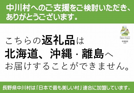 さらら農園の大玉市田柿　約500g×１パック【１月発送】