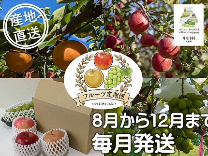 【定期便】担当者おすすめ「味覚の里なかがわ」の旬のフルーツ定期便　５回