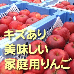農家直送】富永農園の秋のりんご【訳あり】約１０Kg±