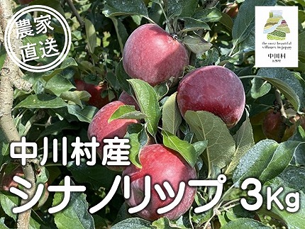 担当者おすすめ「味覚の里なかがわ」の旬のくだもの（シナノリップ３Kg箱）８月中旬発送予定