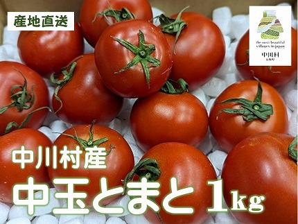 GOKO樹なり甘熟とまと（中玉ABランク品）　約１Kg【金曜日発送】