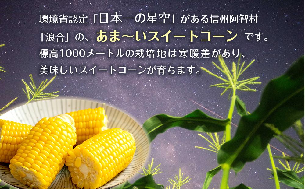 【先行予約】浪合スイートコーン | 野菜 とうもろこし トウモロコシ コーン 信州 長野
