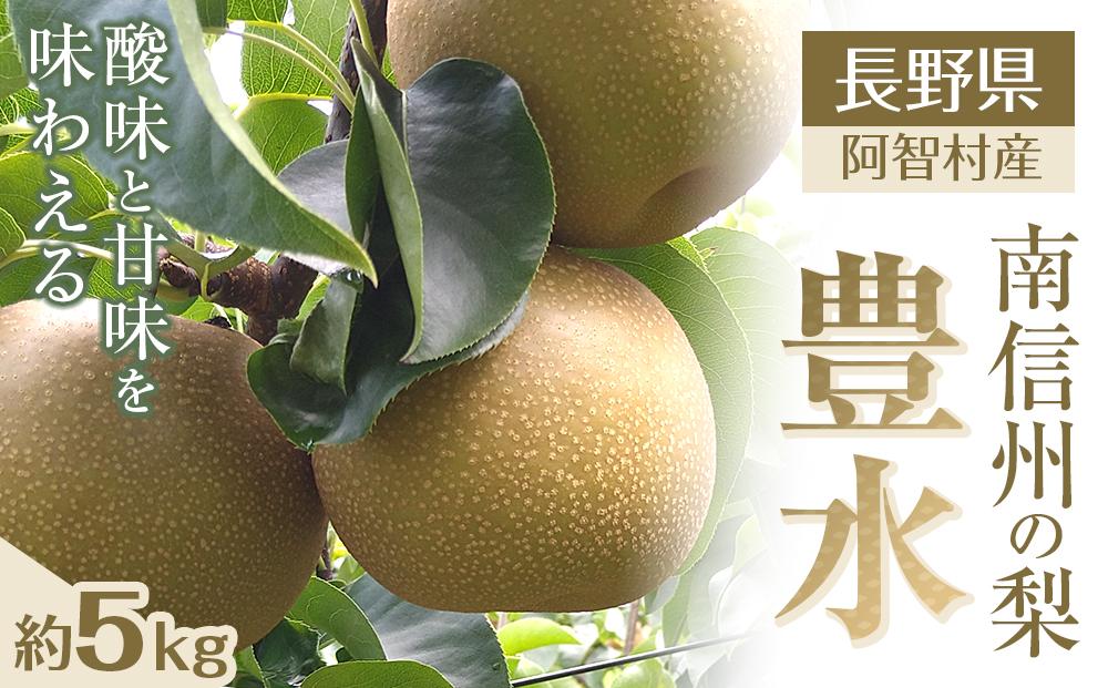 【先行予約】南信州阿智村　梨【豊水】｜果物 フルーツ 期間限定 数量限定 5kg 信州 長野