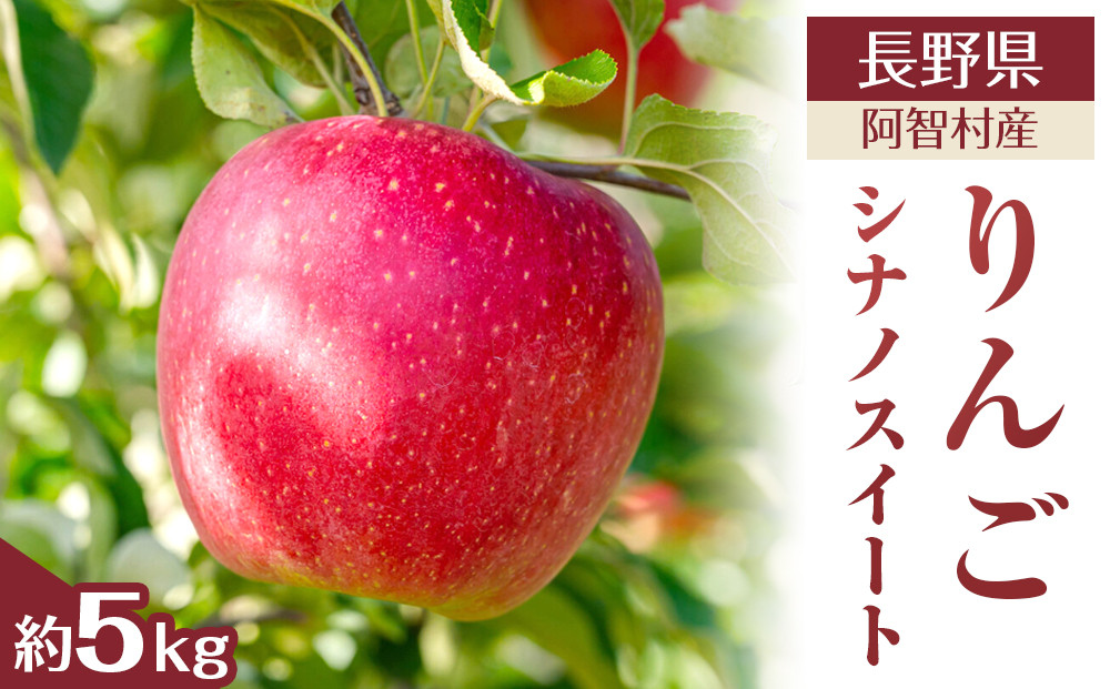 【先行予約】＜令和8年10月中旬〜順次発送＞南信州阿智村　りんご（シナノスイート）約5kg｜  果物 フルーツ 林檎 リンゴ 信州 長野