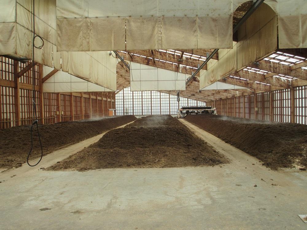 菊芋茶とほしりんごセット ｜ お茶 茶 林檎 りんご 手作り 詰め合わせ 信州 長野