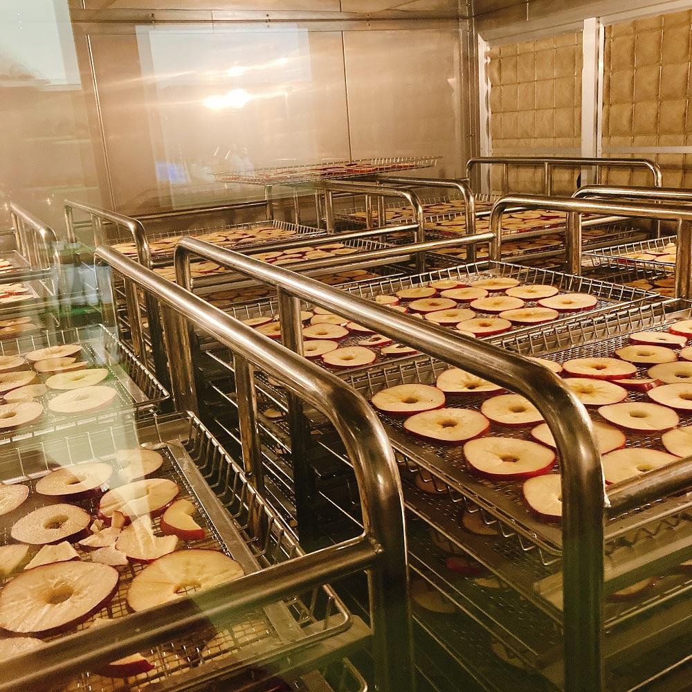 菊芋茶とほしりんごセット ｜ お茶 茶 林檎 りんご 手作り 詰め合わせ 信州 長野