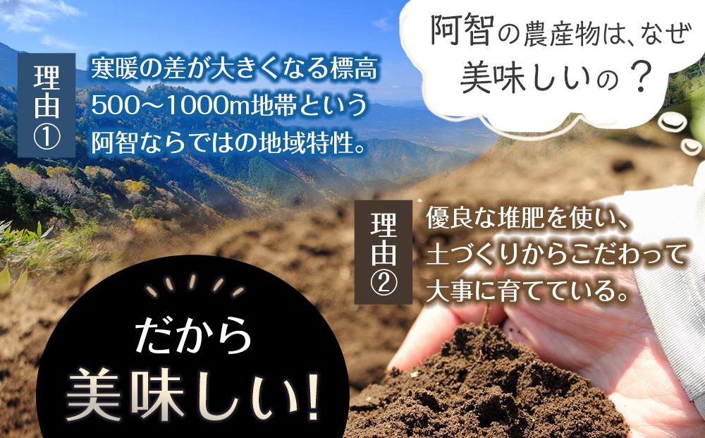 【先行予約】＜令和8年12月中旬〜発送＞南信州 阿智村 市田柿 1箱（約700g）｜ ご当地 名産 柿 干し柿 果物 フルーツ 信州 長野