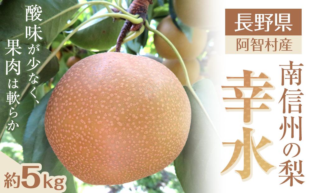【先行予約】南信州阿智村　梨【幸水】｜果物 フルーツ 期間限定 数量限定 5kg 信州 長野