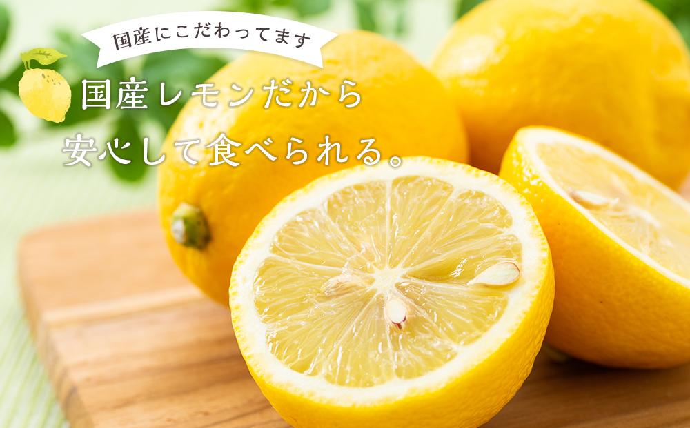 やわらか ドライフルーツ 輪ぎり レモン（国産) 大袋 5袋パック ｜ フルーツ お菓子 おつまみ 果物 レモン 小分け 国産 長野 信州