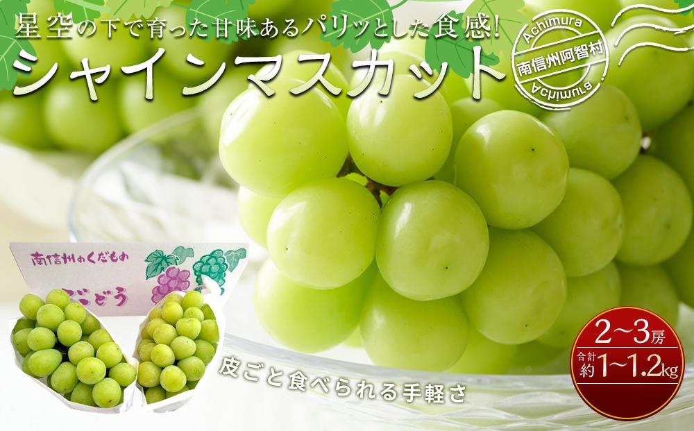 【先行予約】南信州阿智村 シャインマスカット｜果物 フルーツ 期間限定 数量限定 ぶどう 葡萄 1.0〜1.2kg 信州 長野