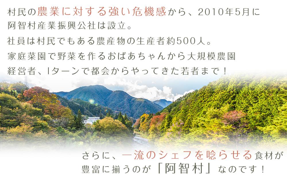 【先行予約】＜令和8年12月中旬〜発送＞南信州 阿智村 市田柿 1箱（約700g）｜ ご当地 名産 柿 干し柿 果物 フルーツ 信州 長野