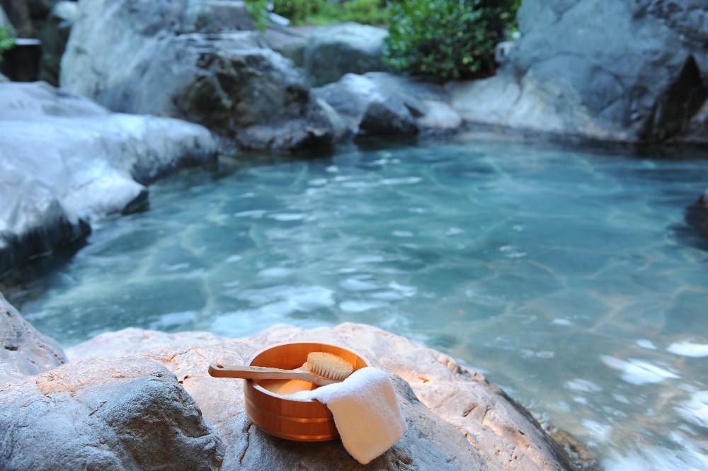 阿智村温泉施設等 宿泊助成券 (300,000円分）｜ 信州 長野 昼神温泉 旅館 宿  宿泊 泊り お泊り 国内旅行 トラベル 観光 星空 スタービレッジ 花桃 温泉