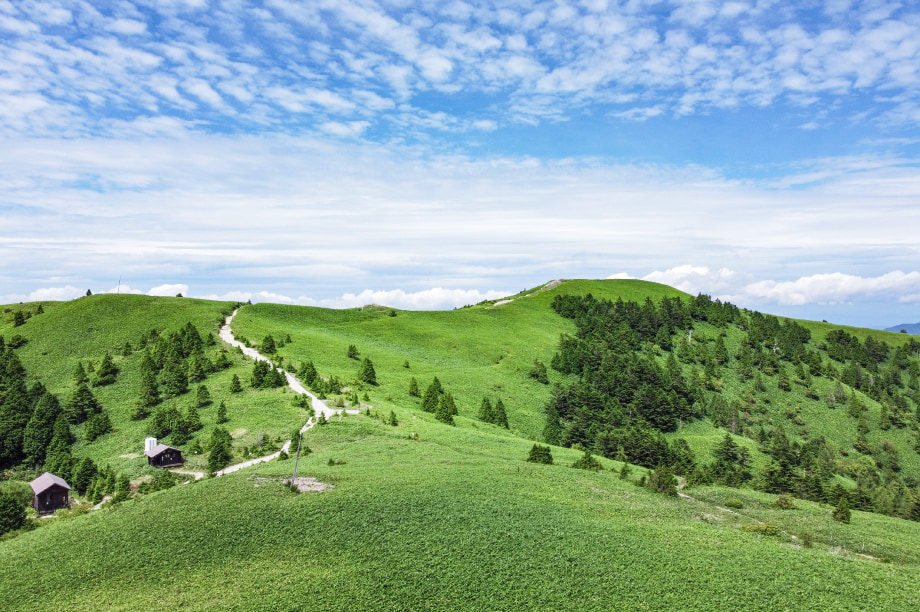 使途を限定しない