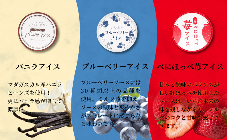  新フレーバー入り！全6回★全種類のアイスが届く！アイス定期便☆ 南信州根羽村産アイス が毎月7個届く！ 合計42個 アイスクリーム ソフトクリーム バニラ 西尾 いちご 紅ほっぺ いちご りんご ブルーベリー 抹茶 ミルク 30000円 30,000円